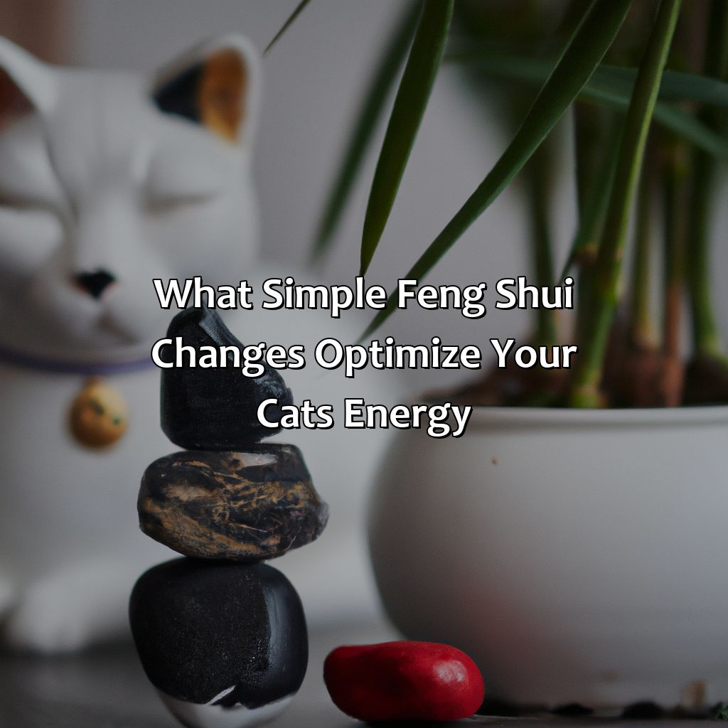 What Simple Feng Shui Changes Optimize Your Cat'S Energy ...